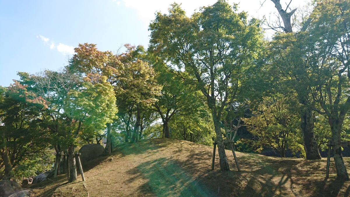 園部公園の写真2