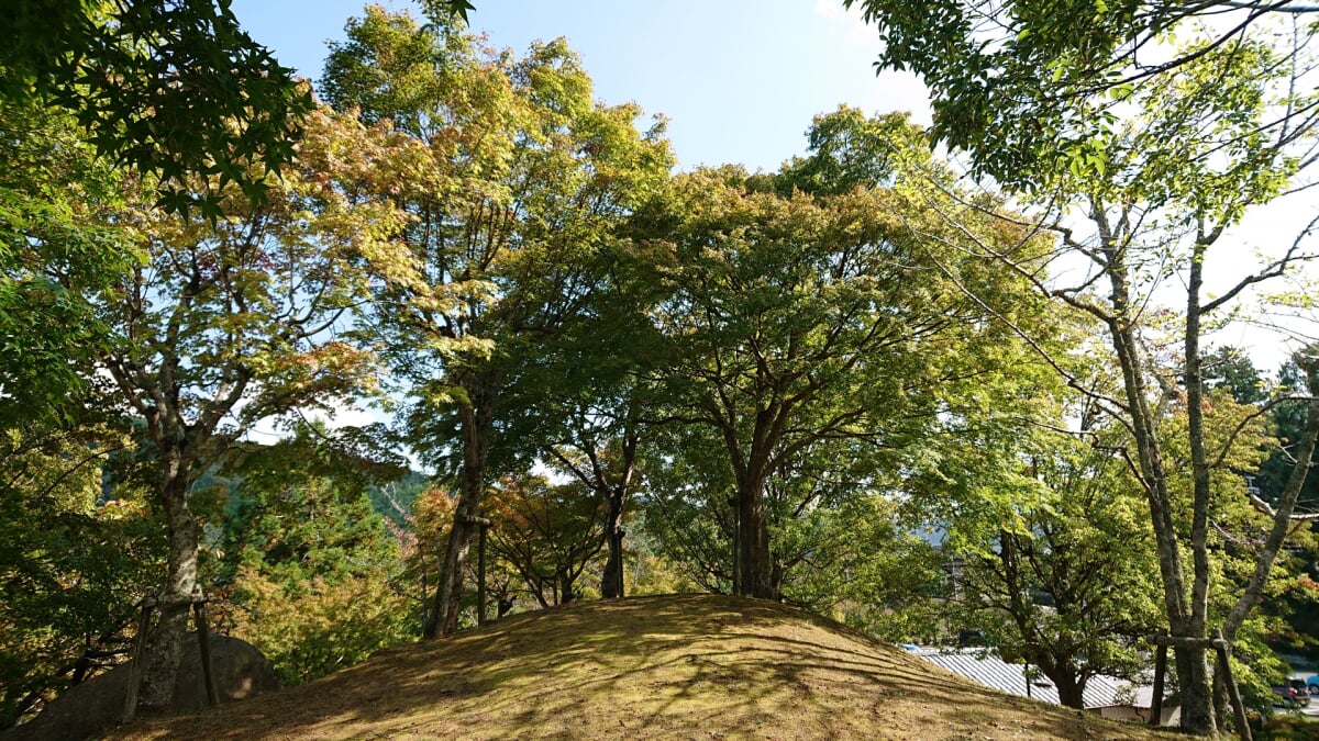 園部公園の写真4