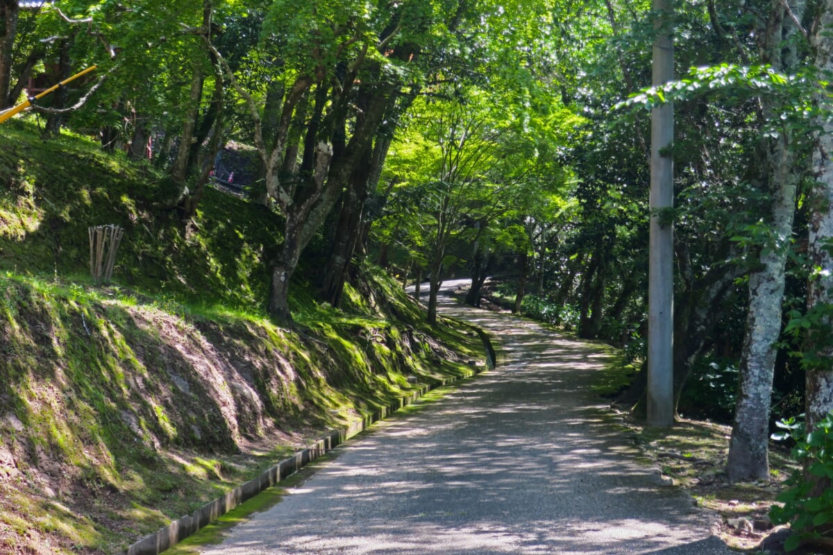 王地山公園の写真1