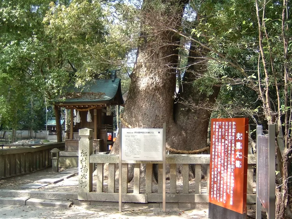 伊弉諾神宮の写真1