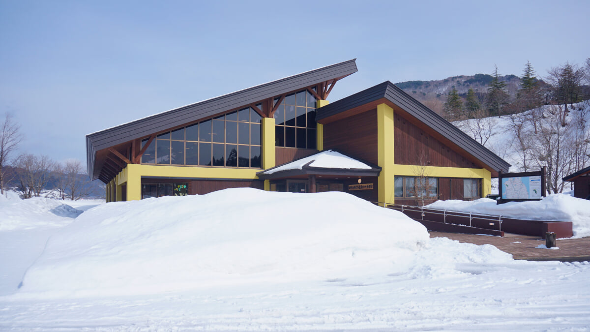 白神山地世界遺産センターの写真2