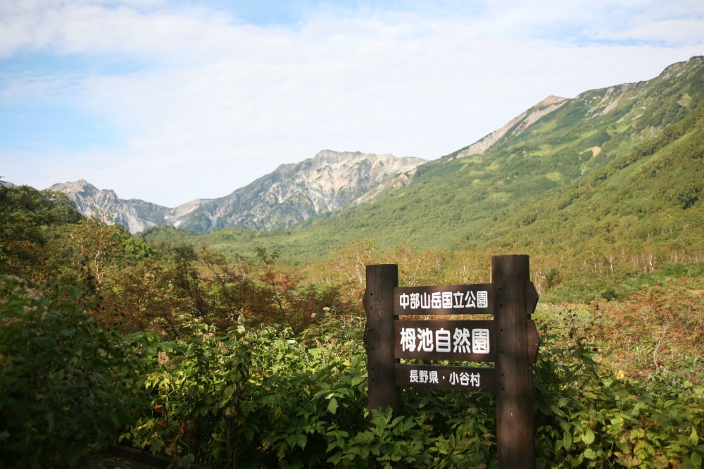 栂池自然園の写真2