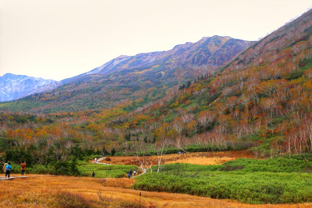 栂池自然園の写真4