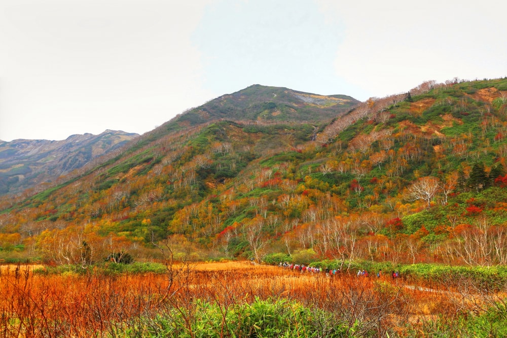 栂池自然園の写真5