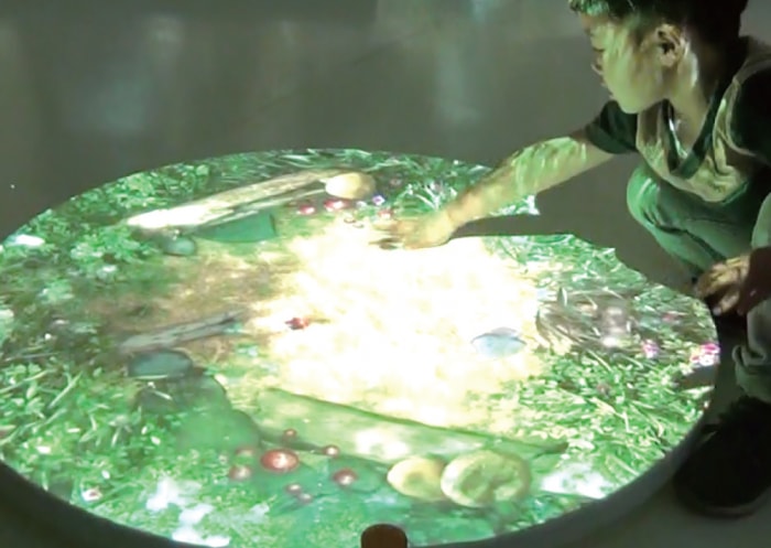 あそびパークPLUS(サンエー浦添西海岸パルコシティ店)の写真8