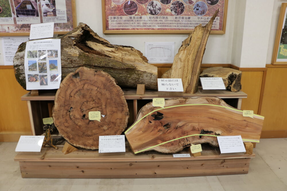 けやき資料館の写真2