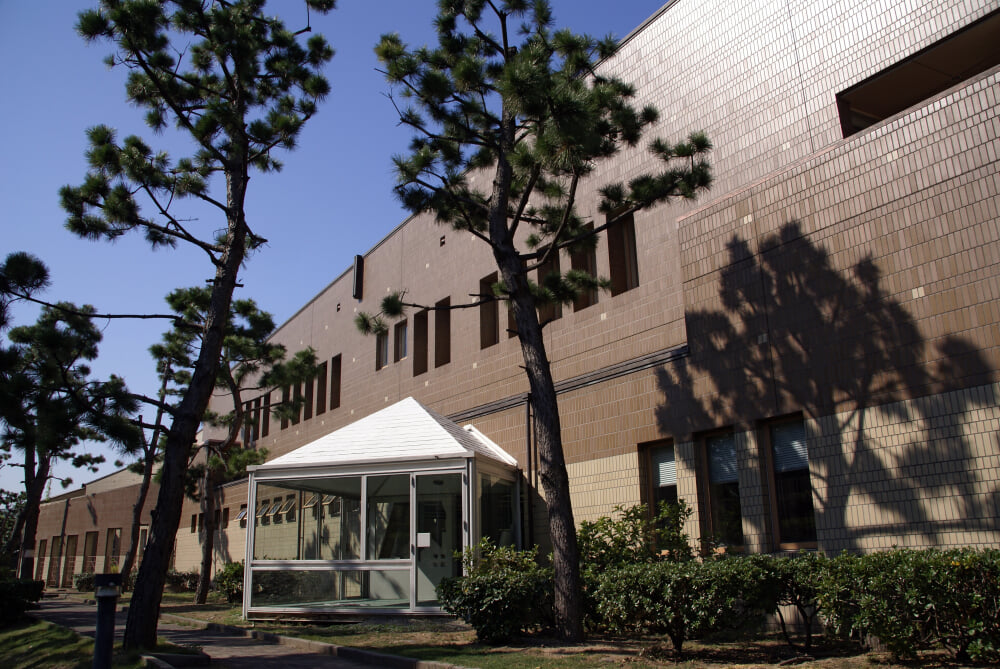 芦屋市立図書館の写真1