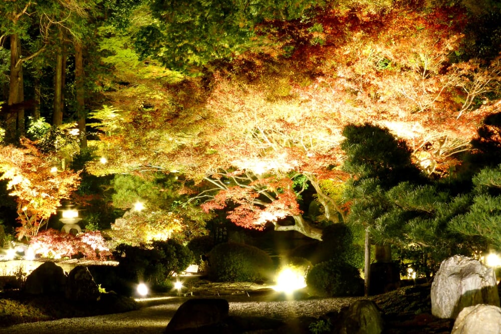 金戒光明寺の写真3