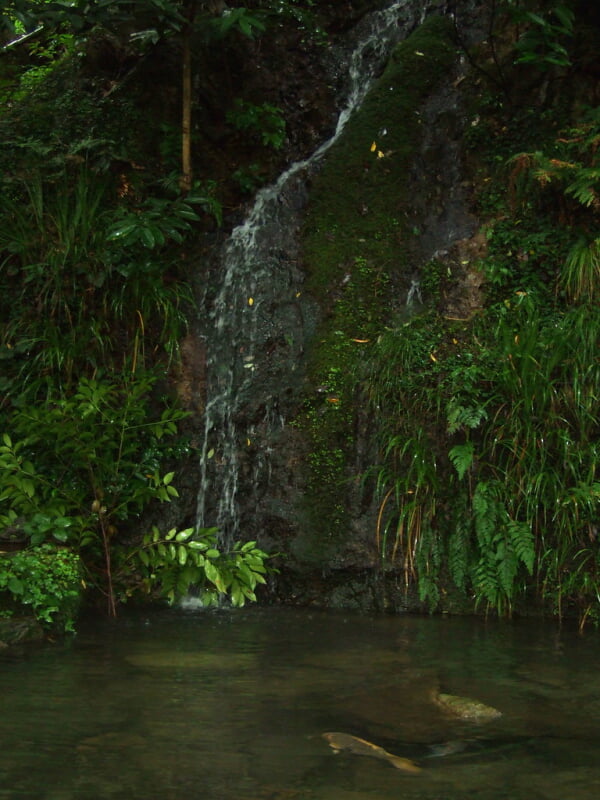 大歳金刀比羅神社の写真2