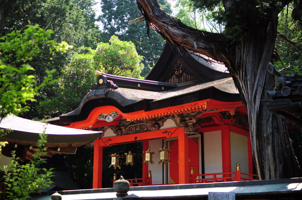 日根神社の写真1