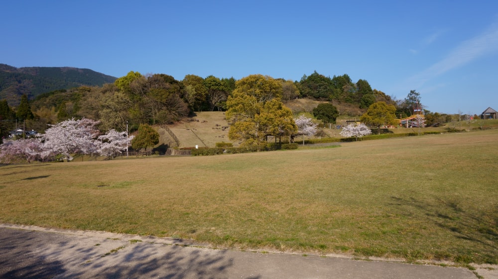 きたがた四季の丘公園の写真2