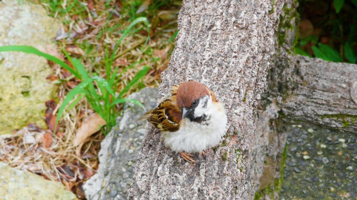 姫山公園の写真5