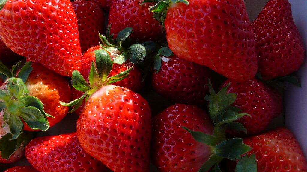 北之迫農園の写真2