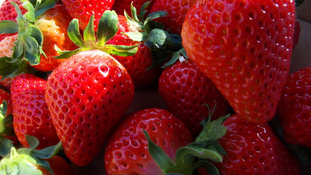 北之迫農園の写真1