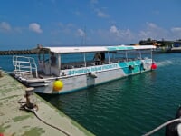 仲間川マングローブクルーズ