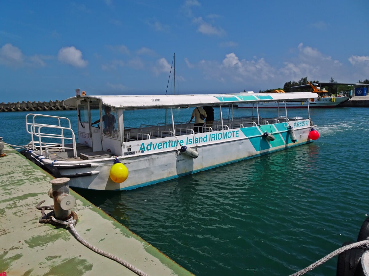 仲間川マングローブクルーズの写真1