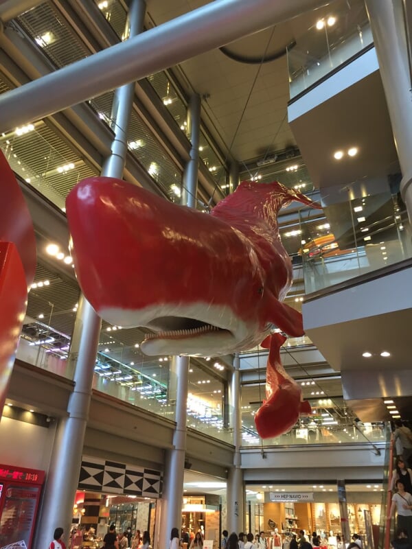 HEP　FIVEの写真3