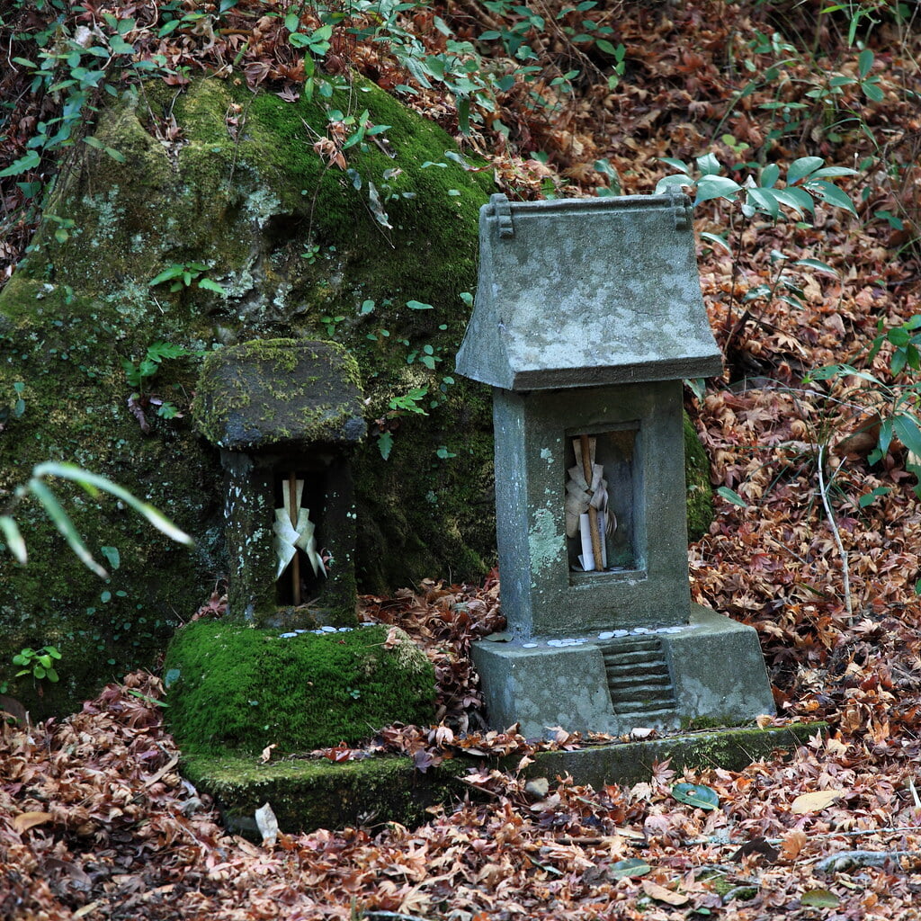 千葉県立館山野鳥の森の写真1