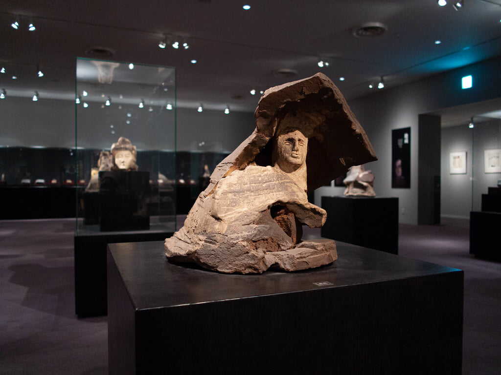 パラミタミュージアムの写真12