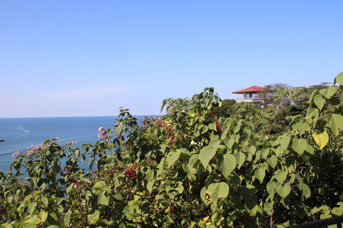 魚見公園の写真2