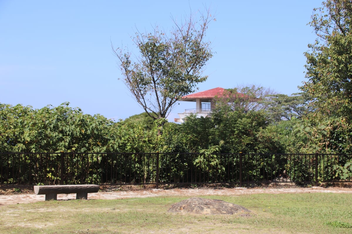 魚見公園の写真3