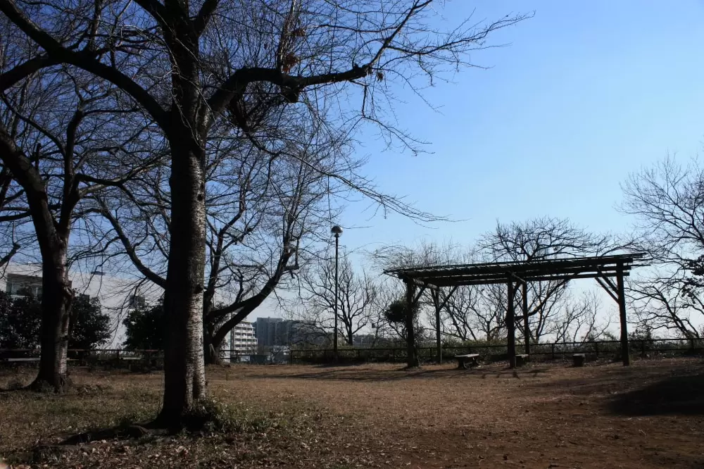 弘法松公園の写真1