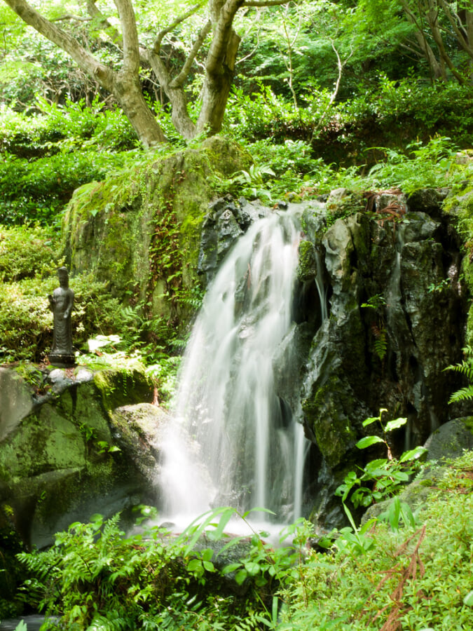 久安寺の写真15