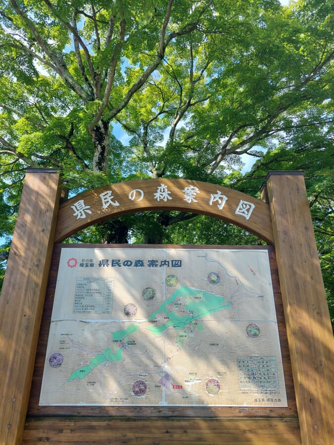 埼玉県 県民の森の写真3