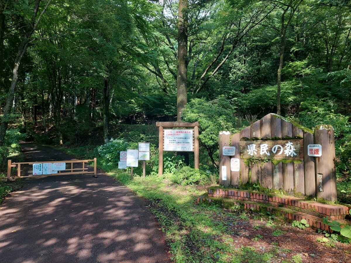 埼玉県 県民の森の写真1