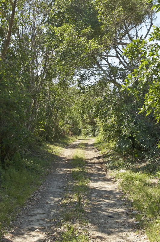 浦田海水浴場の写真4