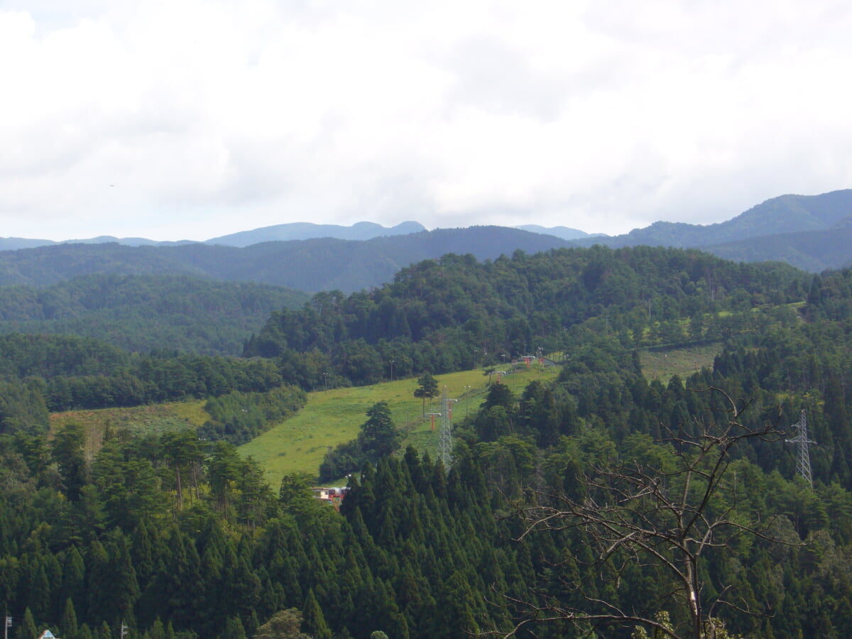 雁が原スキー場の写真1