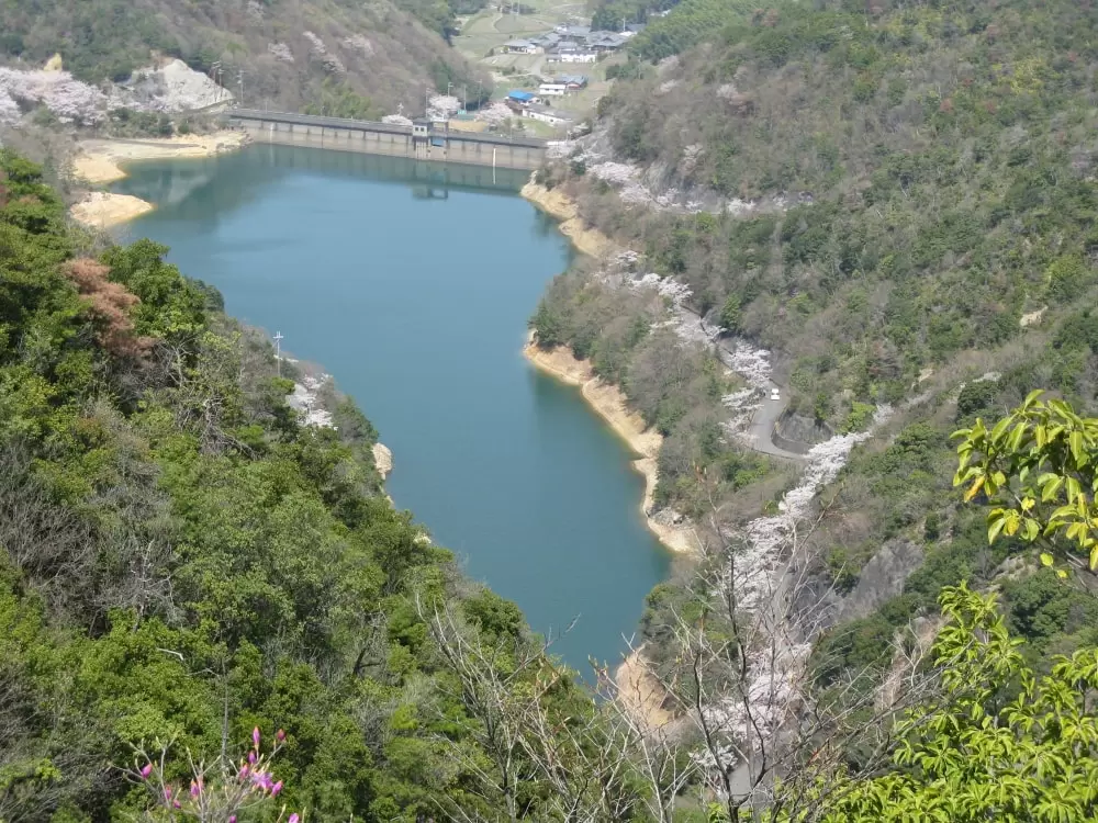 永楽ダムの写真1