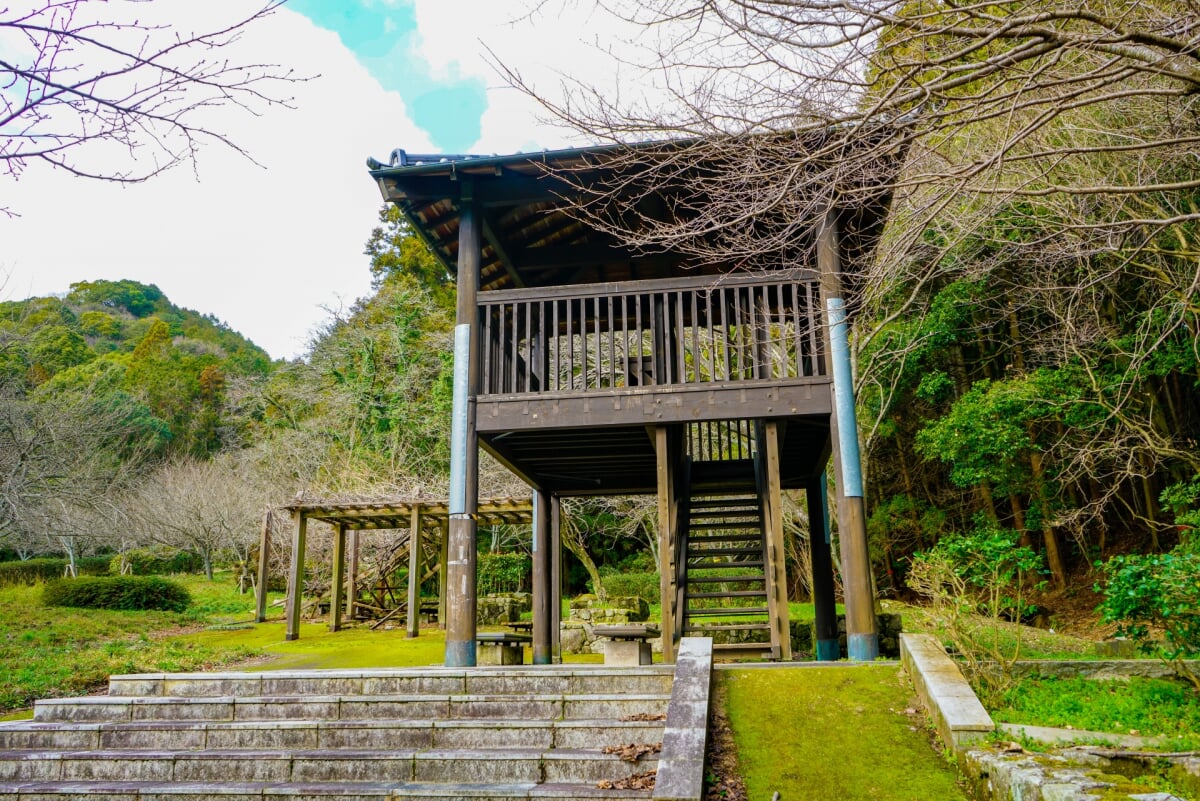 太宰府市民の森の写真3