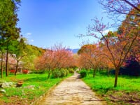 太宰府市民の森