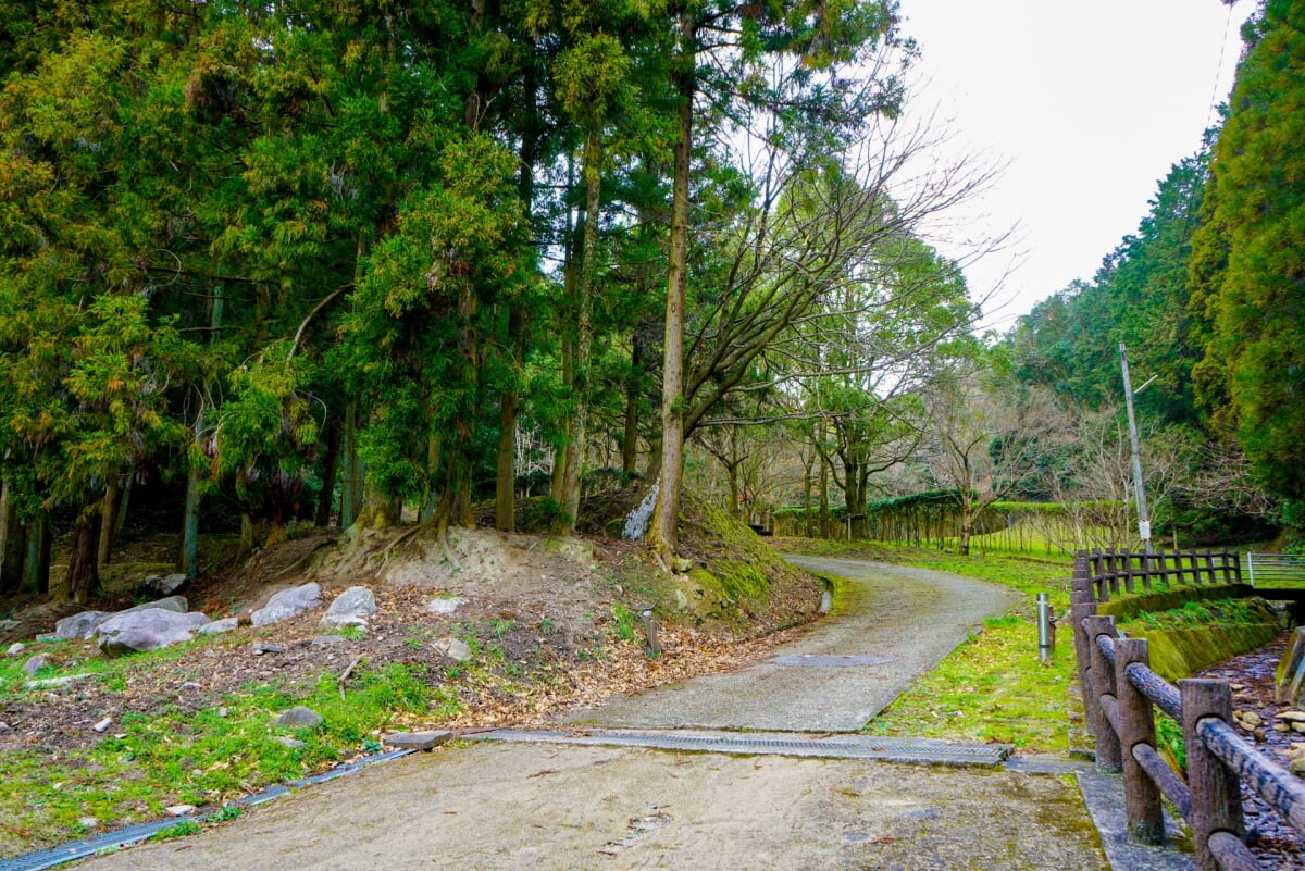 太宰府市民の森の写真6