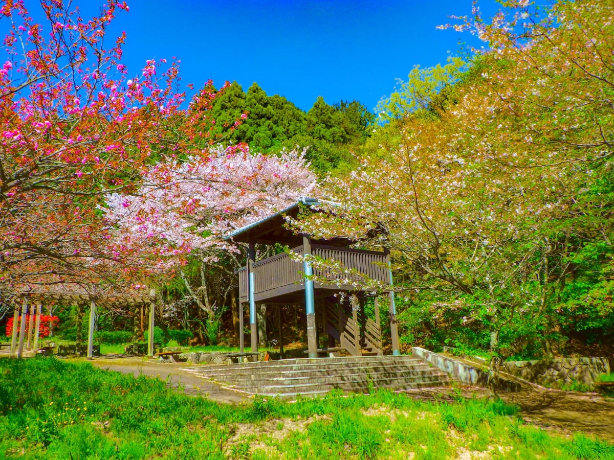 太宰府市民の森の写真7