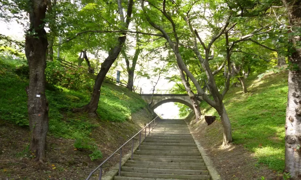 烏帽子山公園の写真1