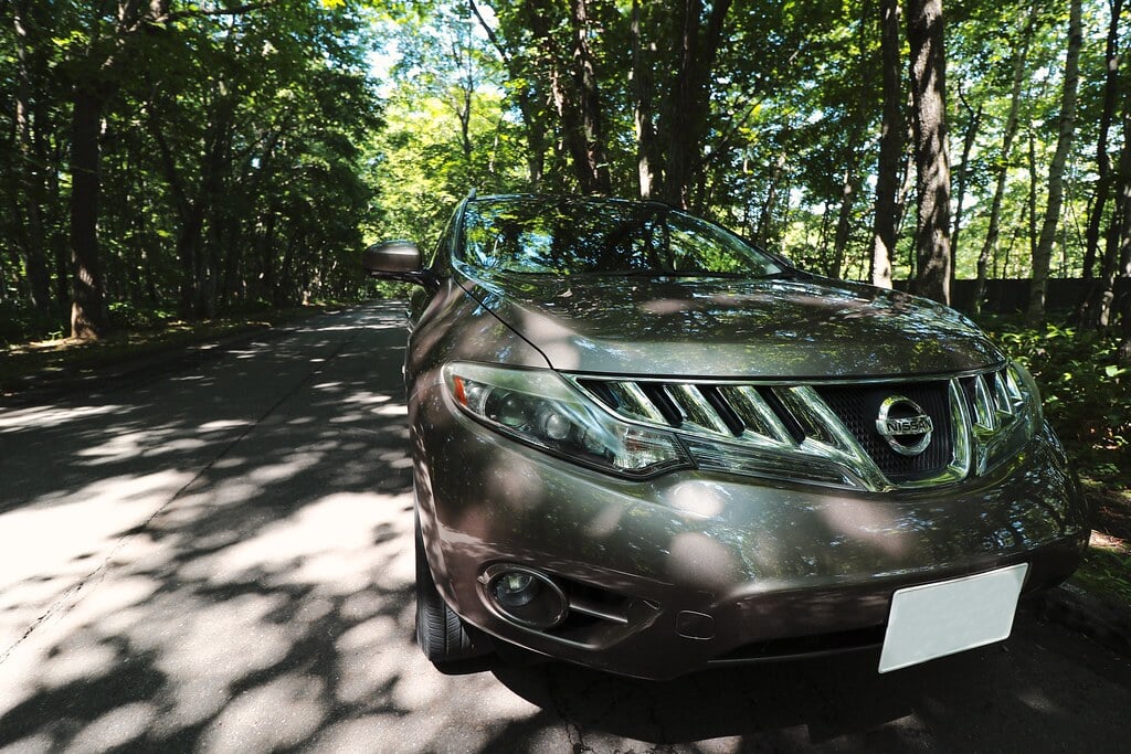 イコロの森の写真4