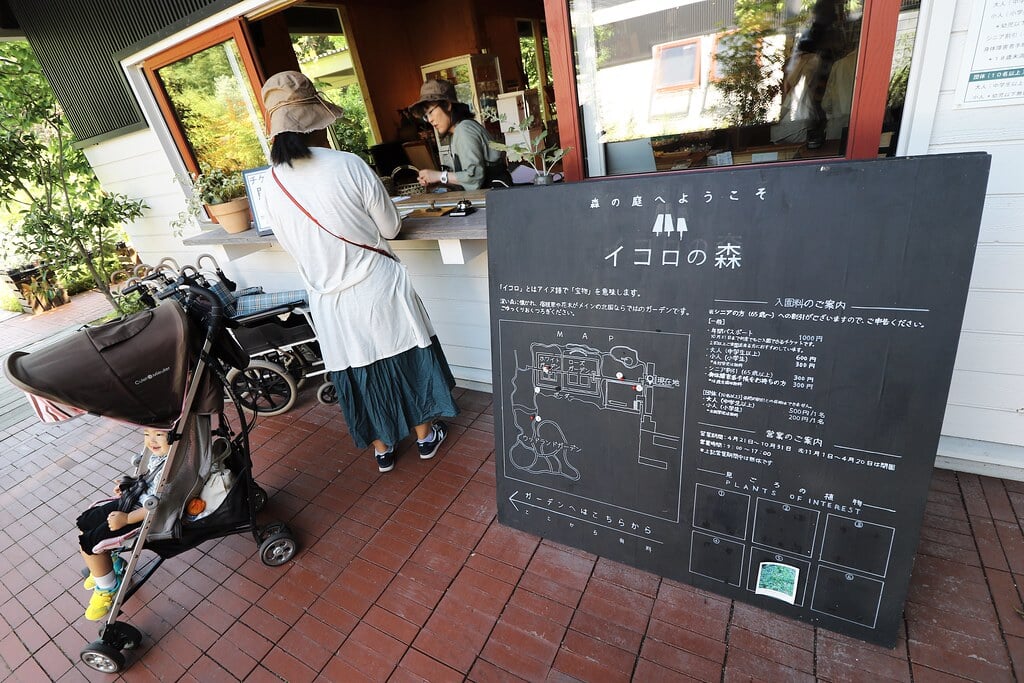 イコロの森の写真6