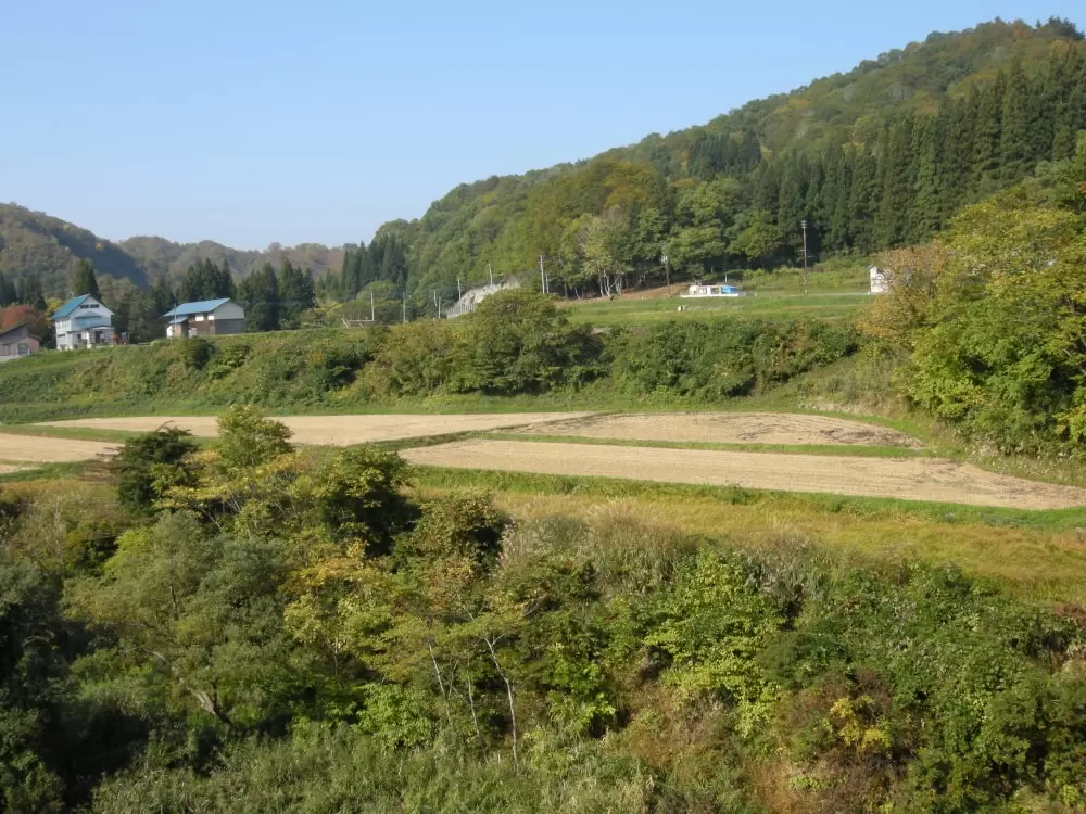 源流の森の写真1