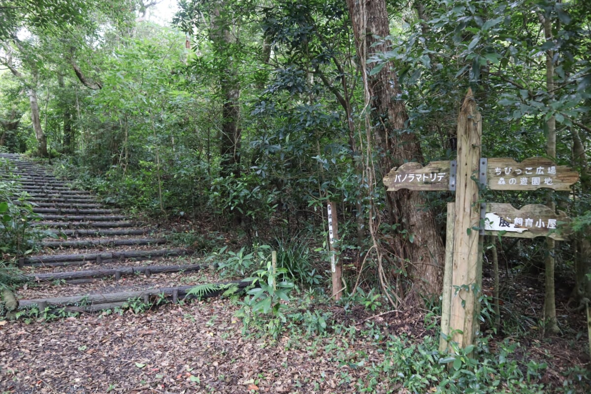 奄美自然観察の森の写真2