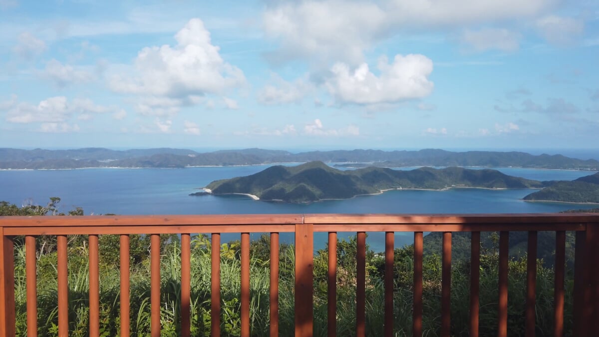 奄美自然観察の森の写真3