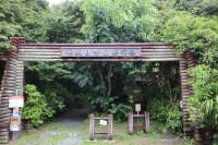 奄美自然観察の森