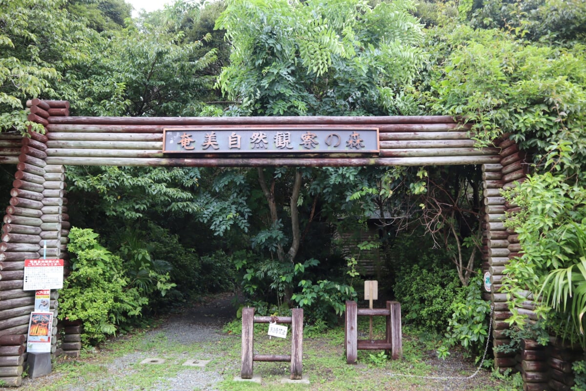 奄美自然観察の森の写真1