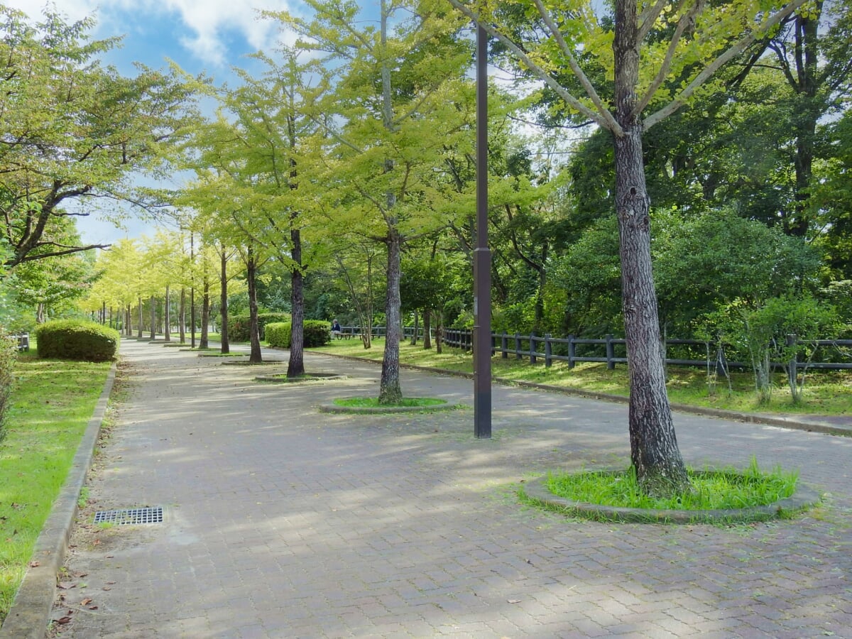 海の見える丘公園の写真3