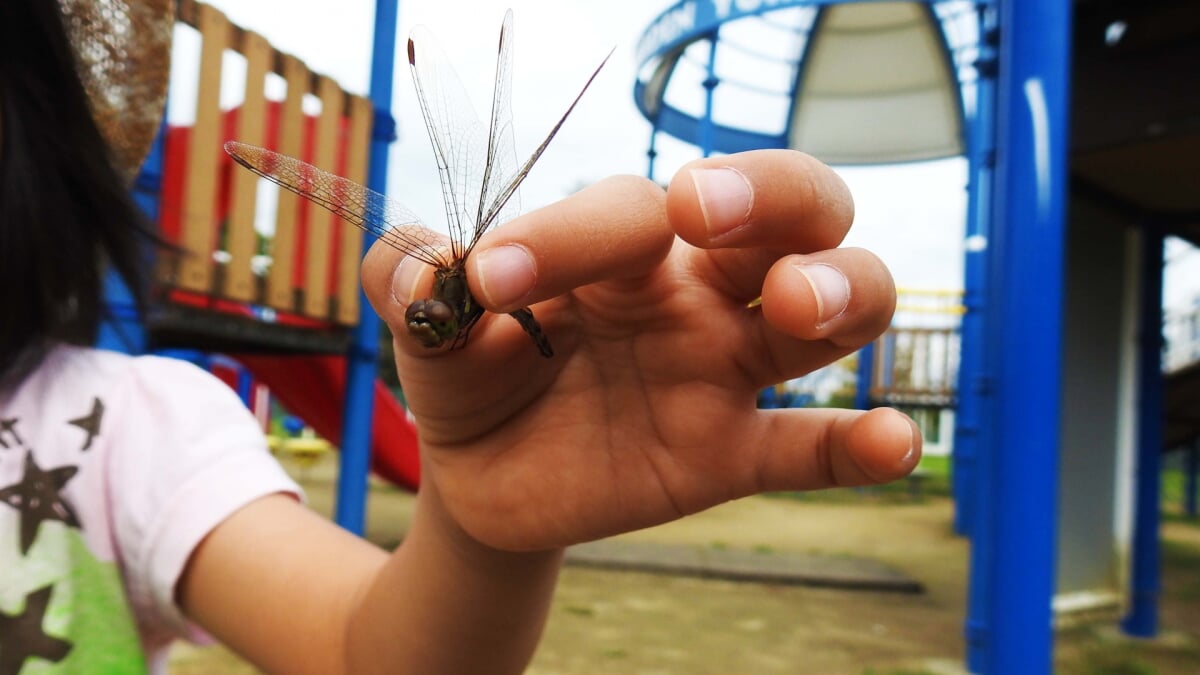 海の見える丘公園の写真7