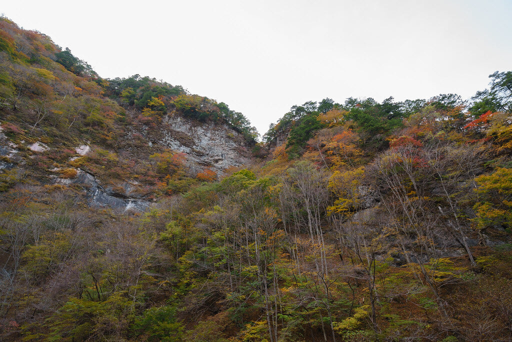 中津峡の写真8