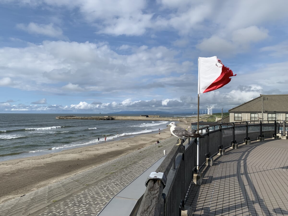 新潟県立紫雲寺記念公園の写真2