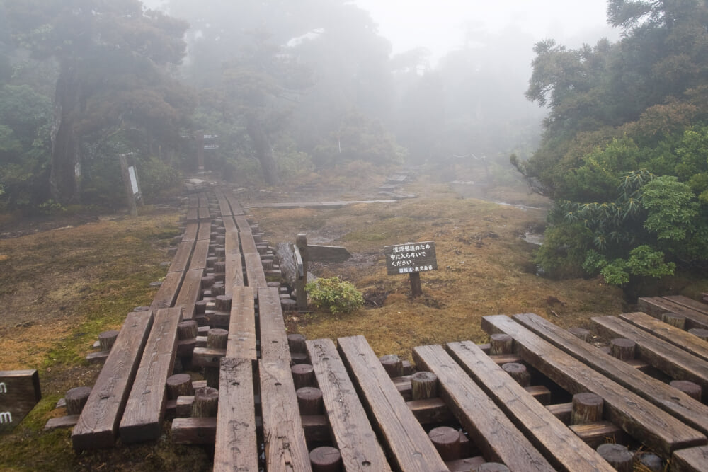 花之江河の写真2