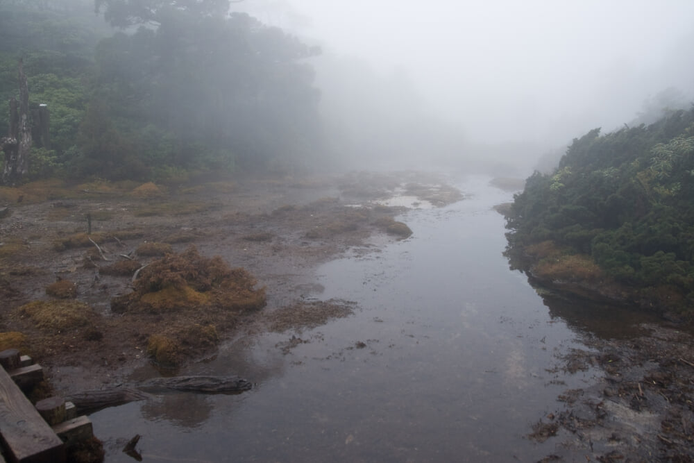 花之江河の写真4
